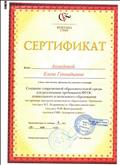 Сертификат участника семинара "Создание современной образовательной среды для реализации требований ФГОС дошкольного и начального образования" (2014)